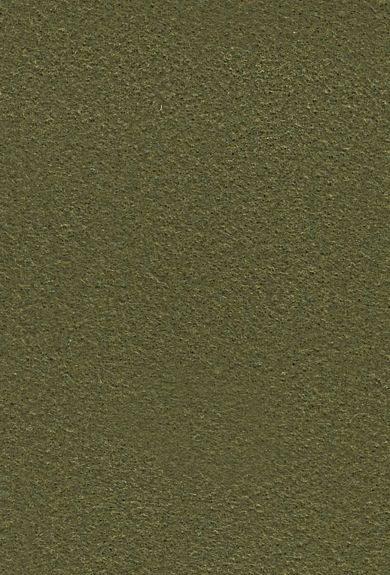 SR01OL00-Olive-2 Plain Scarf