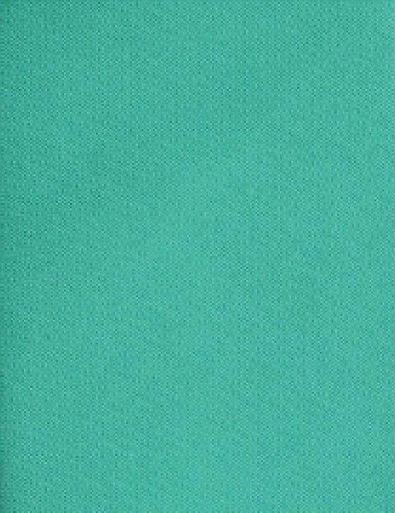 T001LG00-Light-green-3 Plain satin Light green Tie