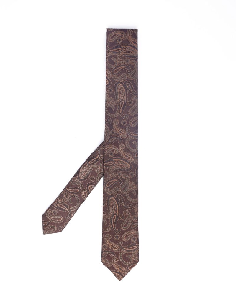 T002BR00-Brown-4 Paisley beige Tie