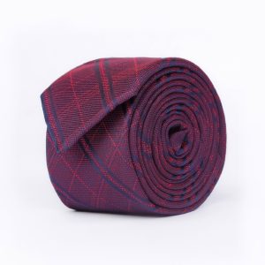 Checked with navy stripes Tie