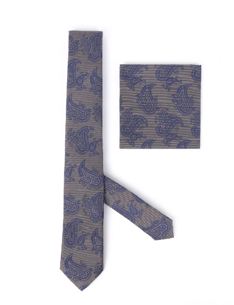 TH002BR00-Brown-1 Handkerchief tie with Paisley navy