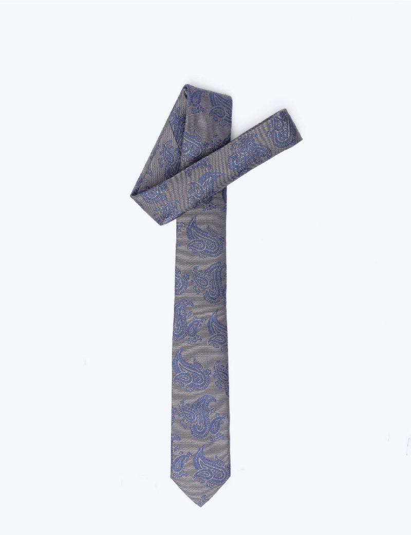 TH002BR00-Brown-3 Handkerchief tie with Paisley navy